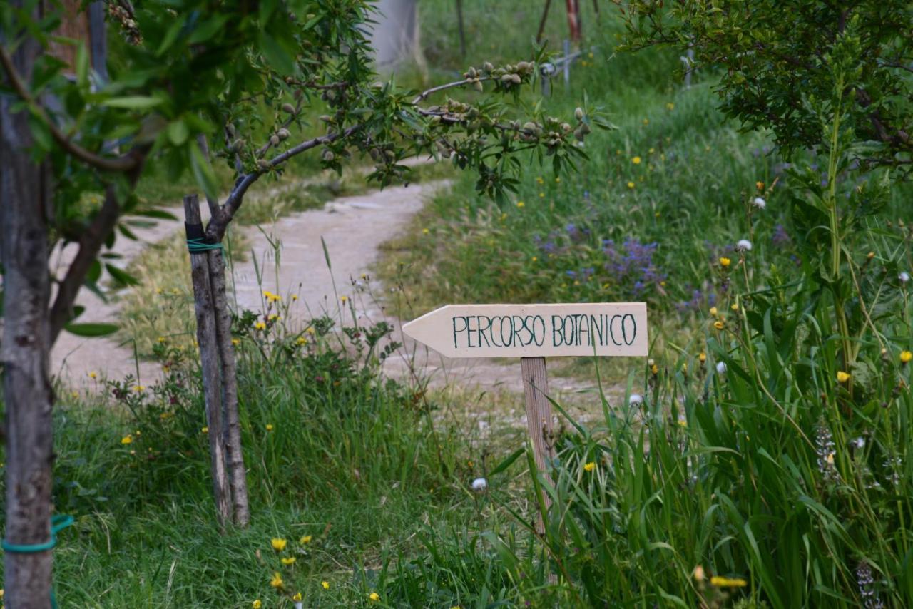 Casale Dionisia In Cilento Appartamento